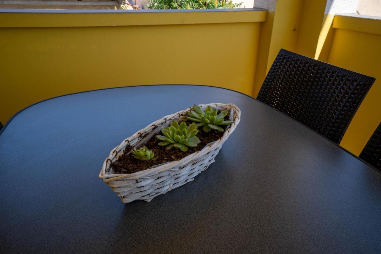 Apartment Pavic *