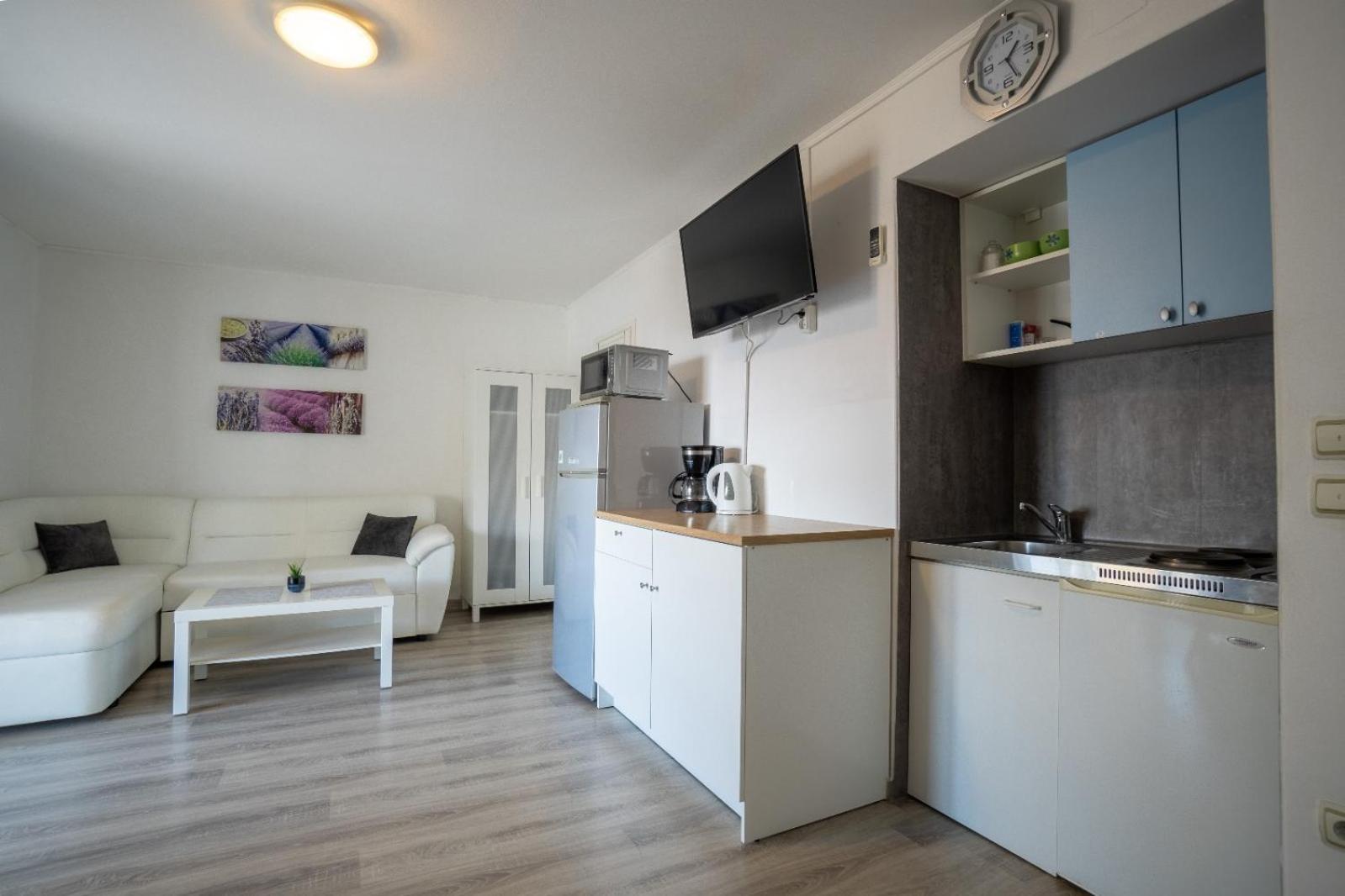 Apartment Pavic *