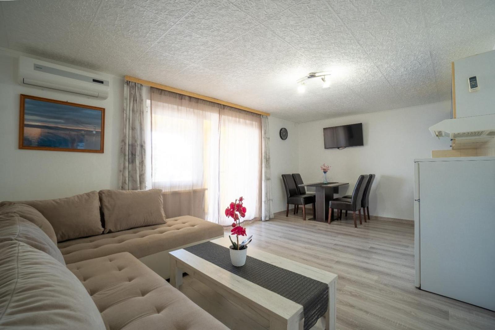 Apartment Pavic